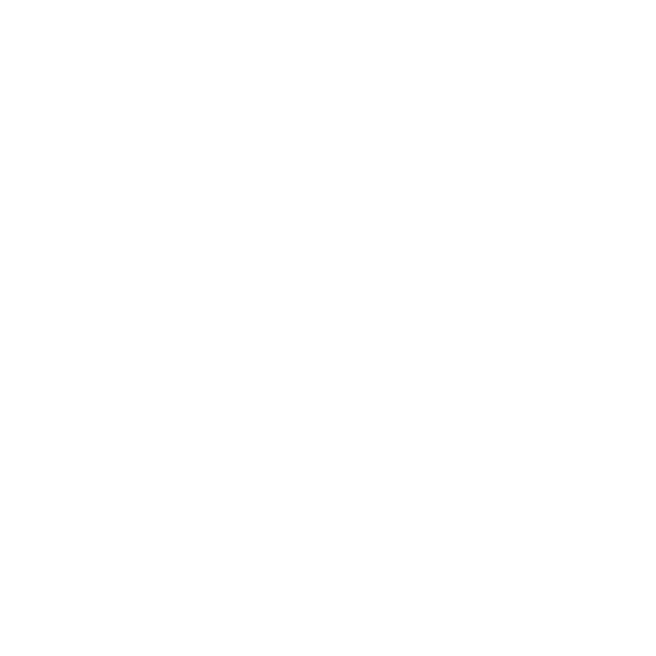 Manchester City Council